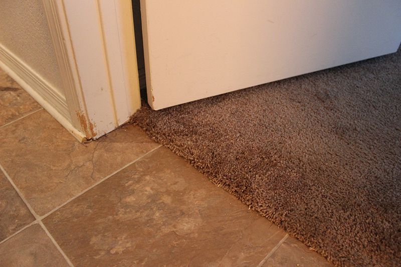 Pet damage repair after repair